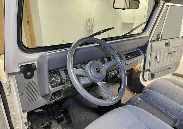 Jeep Wrangler cena 51000 przebieg: 150000, rok produkcji 1990 z Nowy Staw małe 121